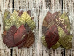 Paper Crafting Card Making Supplies Flowers, Leaves and pkg Cards/Envelopes