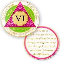 6 Year AA Medallions Sobriety Coin – Alcoholics Anonymous Chips – Six Year Co…