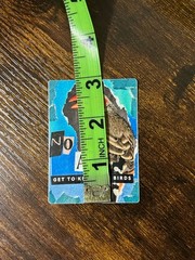 Birding Nature 3” Waterproof STICKER, Human Made Art, Finch Birdwatching Hiking