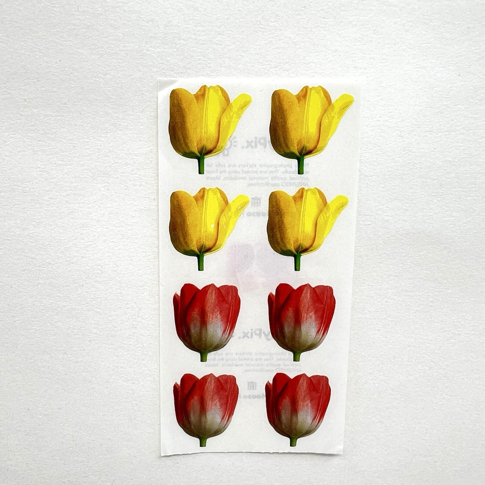 Paper House Tulip Flower Stickers Sticki Pix Scrapbooking Journals