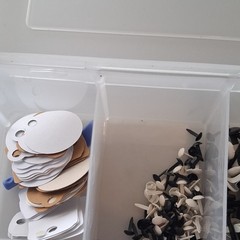 Scrapbooking Embellishments Lot Brads Eyelets in plastic storage box