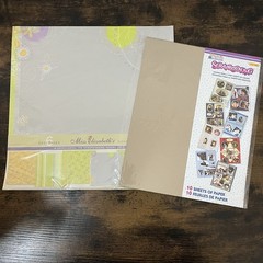 Scrapbook Paper & Stickers Lot Hobby Lobby Cardstock Mixed Themes New Sealed