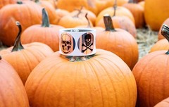 Skull and Crossbones Stickers | 2″ Inches Round – 100 Pack | Pick One Color