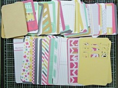 We R Memory Keepers Pocket Page Cards, Captured, 155 Cards, 155CAP Retired