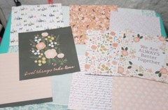Papercraft Lot #1 – Build Your Stash – Peachy Evergreen Recollections – 30 Pcs.