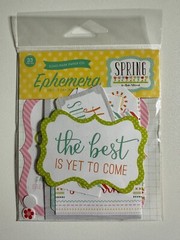 Echo Park Ephemera Die Cut Packs Multiple Variations Available-You Choose
