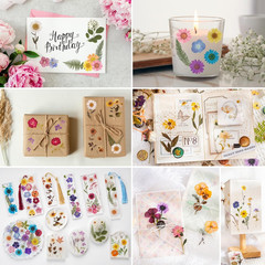 Pressed Flower Themed Stickers (Assorted 486 Pieces, 36 Sheets) Dried Floral Res