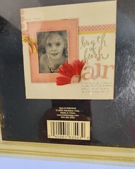 Heidi Snapp Crimson Flowers Scrapbook/Craft Orange Flowers 5″ 12 Layers 2005
