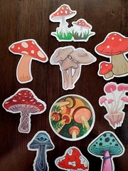 STICKERS x 10 Red Mushroom Garden Forest Mushrooms Third Eye Delic FEBG4