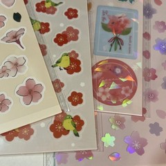 Daiso Japan Sakura Design Stickers Set of 4 Cherry Blossom Flowers Cute