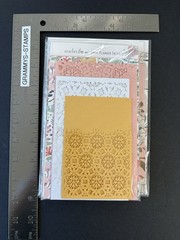 Scarlet Lime Planner Society Laser Cut LOT Junk Journal Pocket Envelope Ephemera