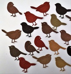 Bird Birds Die Cut Paper Scrapbook Card Making Embellishment 18pc