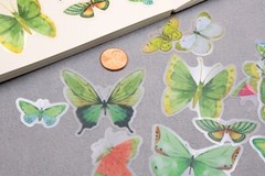 Butterfly sticker | butterflies nature green insect themed PET plastic