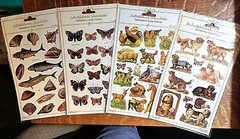 EF GERMANY SELF-ADHESIVE SCRAP PICTURES stickers: animals fish butterflies dogs