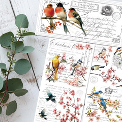 3 Sheets Vintage Rub on Transfers for Crafts and Furniture,Floral and Birds,Cold