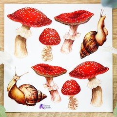 Violette Stickers – Mushrooms & Snails – 1 Woodland Sticker Sheet – Scrapbooks