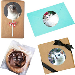 500 Pcs 1.5″ Cat Stickers for Kids and Teachers, Toddler Birthday Party
