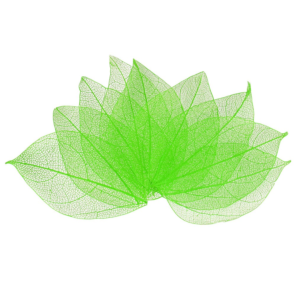 100-Pack Skeleton Leaves, Natural Rubber Tree Leaves Vein[4-6cm, Green]