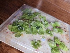 Petaloo Textured Elements «Pistachio Burlap Blossoms» Flowers RETIRED New #17