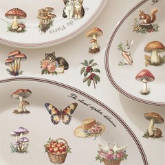 50PCS Vintage Mushroom Stickers PET Transparent Stickers Retro Flora and Fauna D