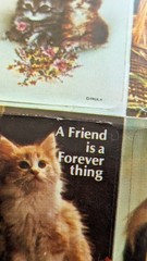 Vintage Stickers By Paula Dogs And Cats Friendship Lot 2 Sheets(1 W/Damage)