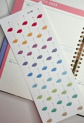 Home Cleaning, bathroom,Floor Cleaning:Handmake Erin Condren Planner Sticker