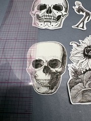 4 Sticker Set Black and White Line Art Skulls Flowers By Julie de Graag Skeleton