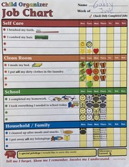 50 PCS Child Organizer Job Chart Kids Reward Chore Charts 8.5×11 Inch USA