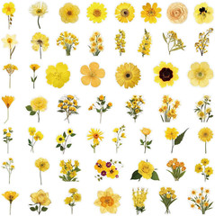 Pressed Flower Stickers 50-Pack, Transparent Yellow Waterproof Decals for Phone