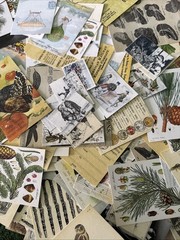 NEW 20 PACKS Lot Junk Journal Scrapbook Ephemera