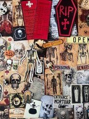 #777 SKELETON 100+PCS 3D JUNK JOURNAL SCRAPBOOKING w/ Real Ephemera & Bone Pen
