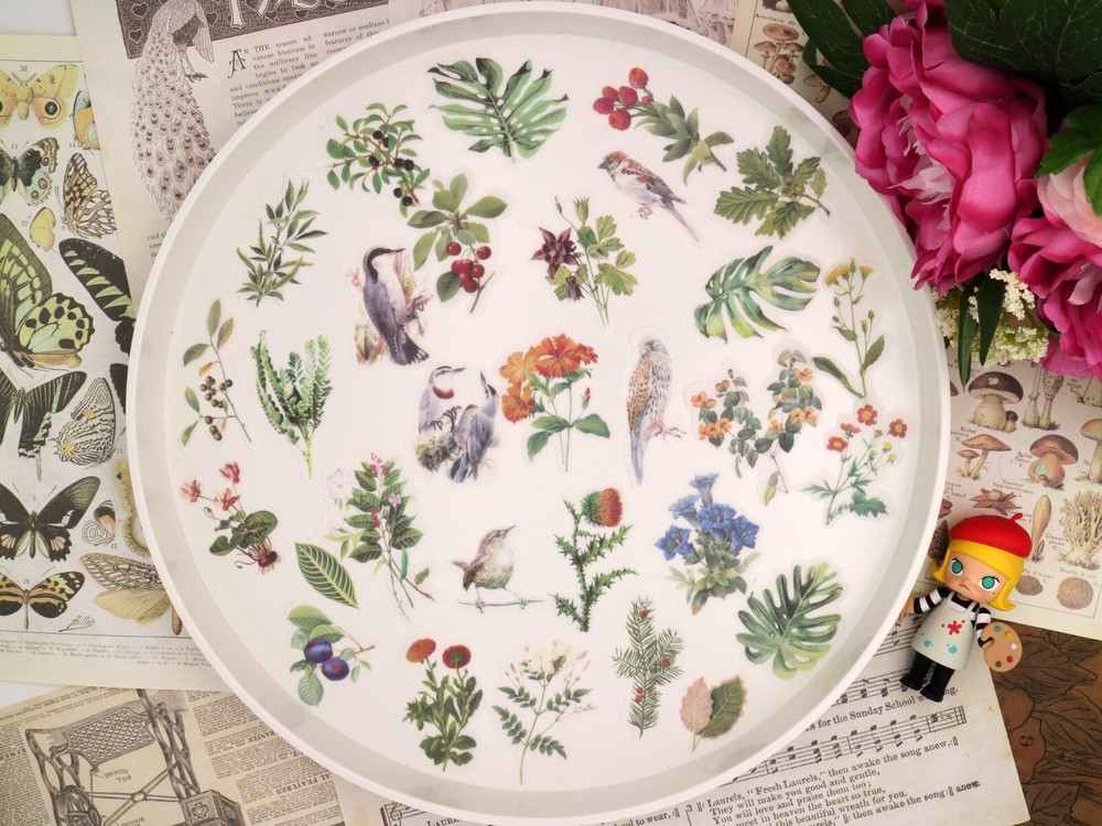 60pcs/Pack flower birds animal floral plant botanical Themed , washi paper stick