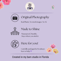 Orchid Flower Sticker Bundle, Large Stationary Set of 7, Sticker Sheets, Holo