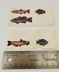 VINTAGE Bass Pro Shop Fish Vinyl Puffy Fishing Stickers for Adult Teen Travel