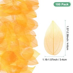 100-Pack Skeleton Leaves, Natural Rubber Leaves Vein[4-6cm, Yellow Tangerine]