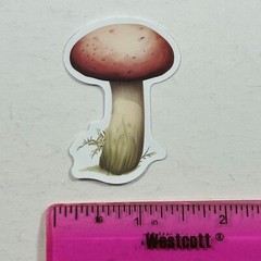 Die Cut Sticker Red-Brown Mushroom Mycology Nature Earth Tones