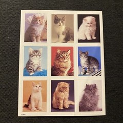 Lot Of 4 Vintage Cat Sticker Sheets Hallmark AGC Dennison Loose Complete Kittens