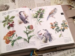 60pcs/Pack flower birds animal floral plant botanical Themed , washi paper stick