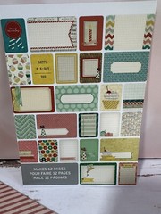 Project Life themed Card set – CELEBRATE
