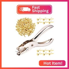300 Pieces 3/4 Inch Paper Fasteners Small Round Metal Brads with Hole Punch for