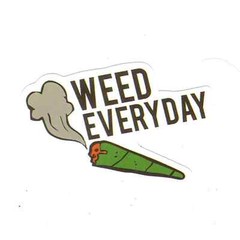 Stickers for Water Bottles, 420 Stickers for Teens Adults, Vinyl Waterproof