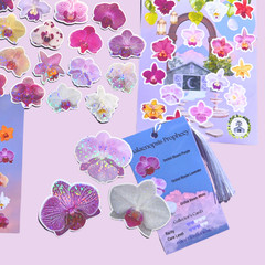 Orchid Flower Sticker Bundle, Large Stationary Set of 7, Sticker Sheets, Holo