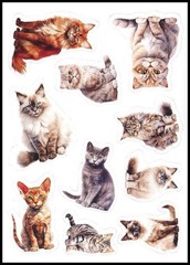 Stickers – Cat Kitten – Any Occasion CL153
