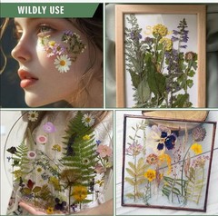 204 Pcs Dried Pressed Flowers for Resin Crafts, Real Purple Pink 204pcs