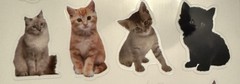 The Paper Studio Stickers Kittens Black Orange Grey Cute Realistic Scrapbook