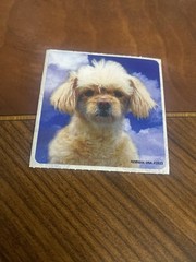 Medibadge Cute Pup Cloud Sky Background Sticker Mod 2.5” Inches