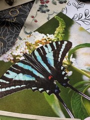 WINGS OF FANCY Junk Journal Supplies—HUGE VARIETY Paper Buttons Beads Ribbons