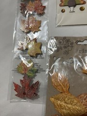 autumn fall sticker and decor lot Jolee, Paper House, K&C company scrapbooking