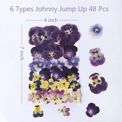 48 Pcs Mix Natural Dried Pressed Flowers for Cake Decorating, Johnny Jump Up