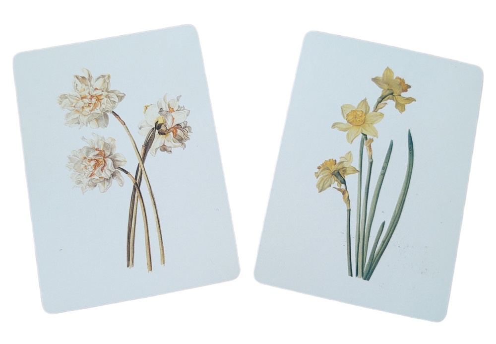Flowers Daffodils Cards White Yellow Floral Junk Journal Project Scrapbook